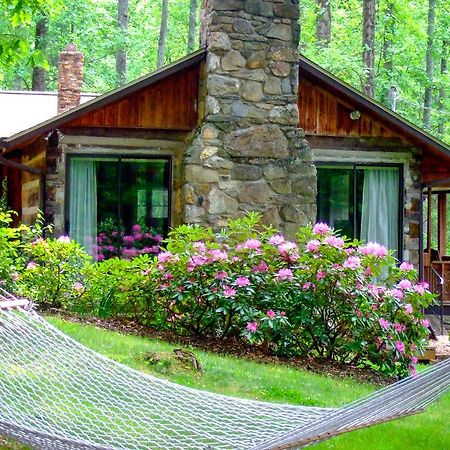 Asheville Cabins Of Willow Winds Esterno foto