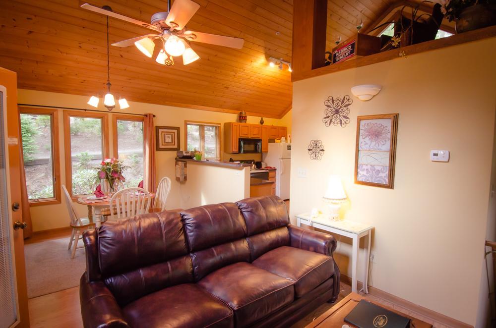 Asheville Cabins Of Willow Winds Esterno foto